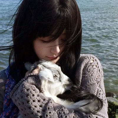 暴走恐慌大激突